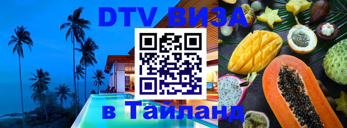 Оформление DTV визы под ключ: стоимость и тарифы, только загранпаспорт - Тамбов  18.11.2025 